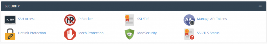 cPanel-security